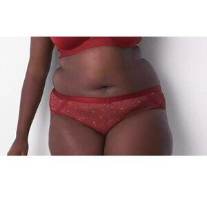 Lane Bryant Cacique Extra Soft Cheeky Panty 26/28